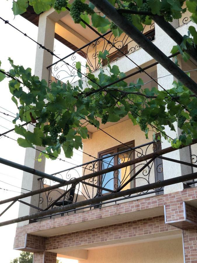 Guest House Lykhny 가그라 외부 사진
